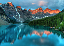 新葡京-老鹰主场重新统计大选投票 特雷·扬感谢工作人员